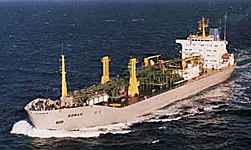 Gastanker & Containerschiffe